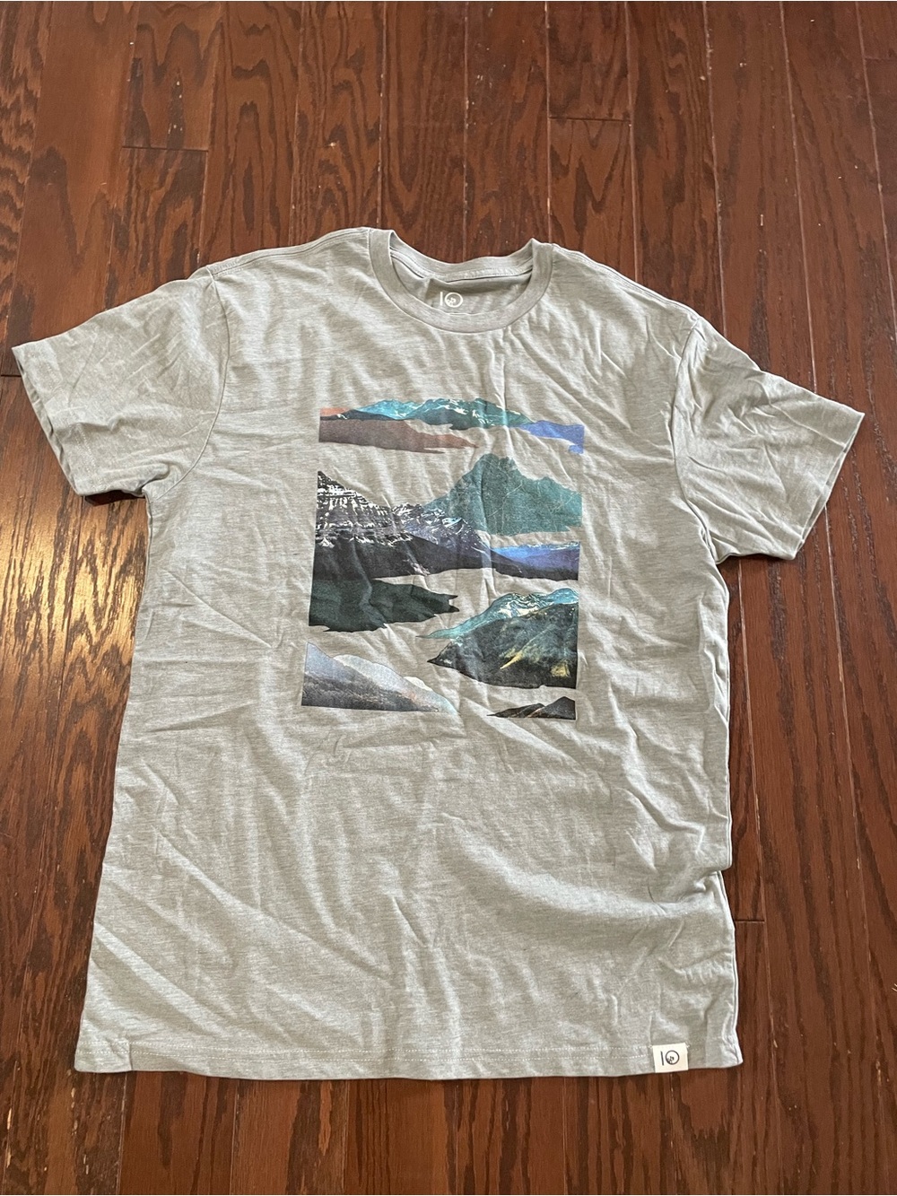10 Tree Ten Tree Men’s T Shirt Large Gray Graphic Mountain-Print T-Shirt